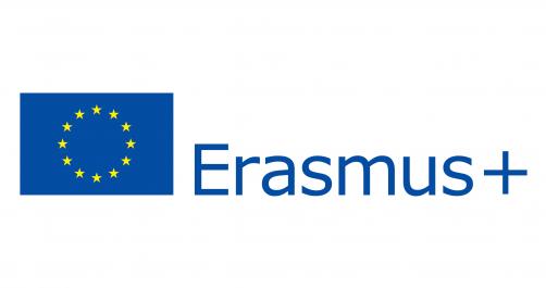 Survey of former volunteers Erasmus+ and European Solidarity Corps